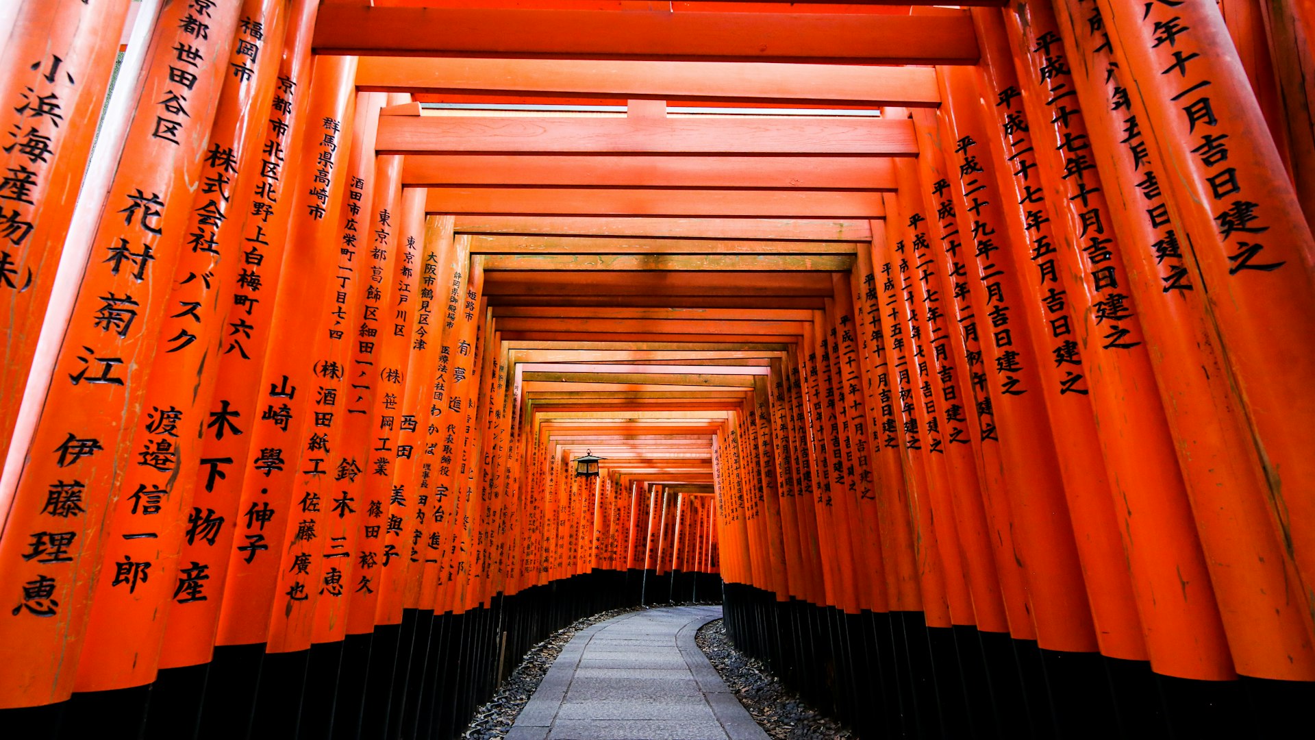 Kyoto Fushimi Inari'de art arda dizilmiş kırmızı torii kapıları